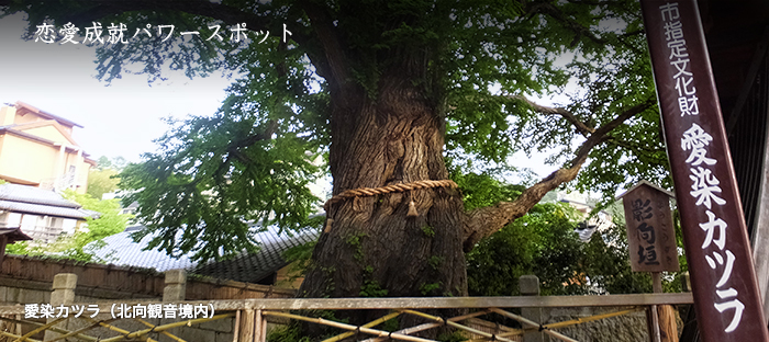 別所温泉の散策