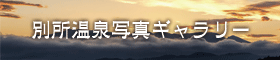 別所温泉写真ギャラリー